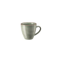 Кружка 0,35 л Moss Profi Casual Rosenthal